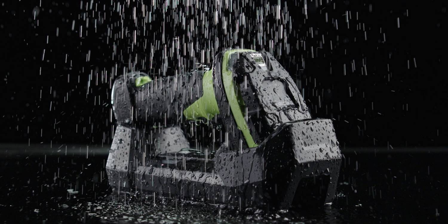 Home Zebra Ecuador 4 Home Zebra Ecuador