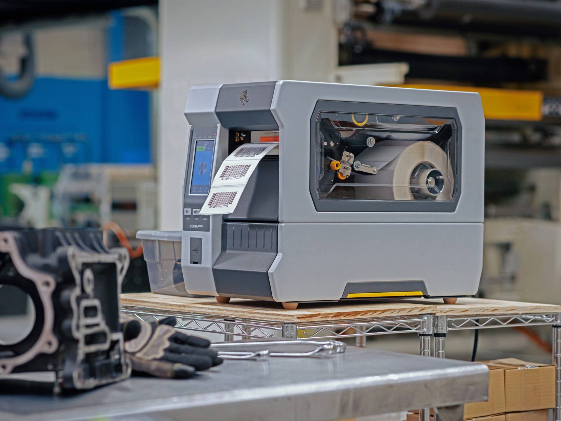 Home Zebra Ecuador 2 Home Zebra Ecuador