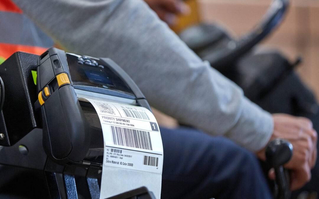 New Arrivals 2 New Arrivals